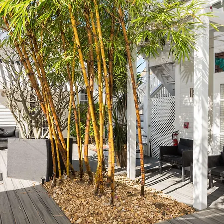 Alexander's Guesthouse-Adult Exclusive, LGBTQ Friendly-3